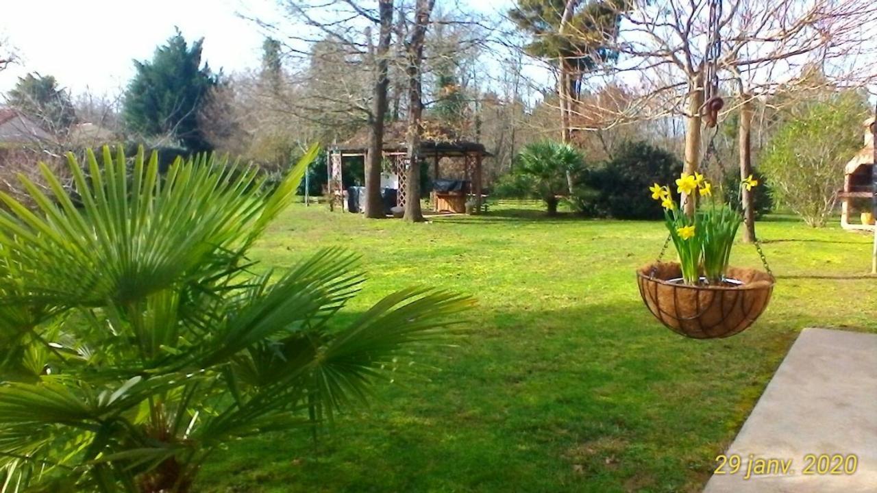 Le Clos Des Palombes Wifi Climatisation Saint-Pierre-du-Mont  Exterior photo