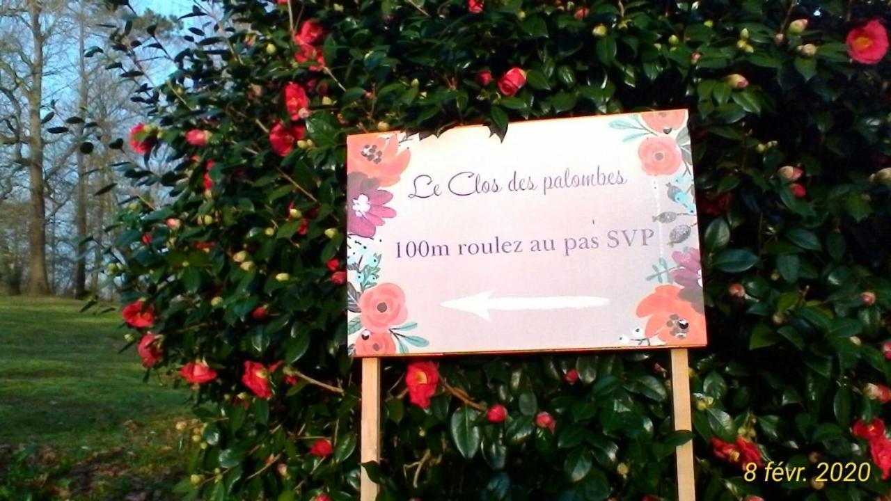 Le Clos Des Palombes Wifi Climatisation Saint-Pierre-du-Mont  Exterior photo