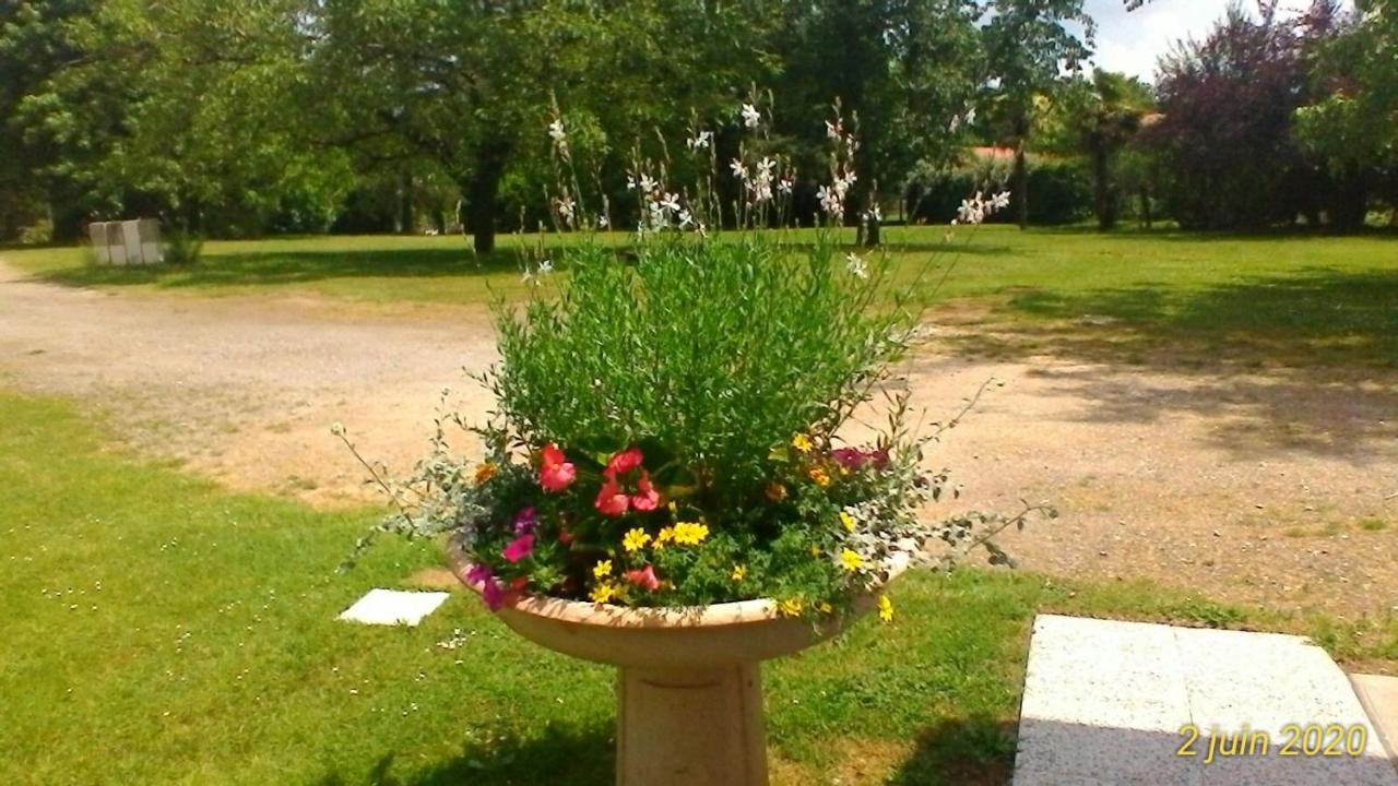 Le Clos Des Palombes Wifi Climatisation Saint-Pierre-du-Mont  Exterior photo