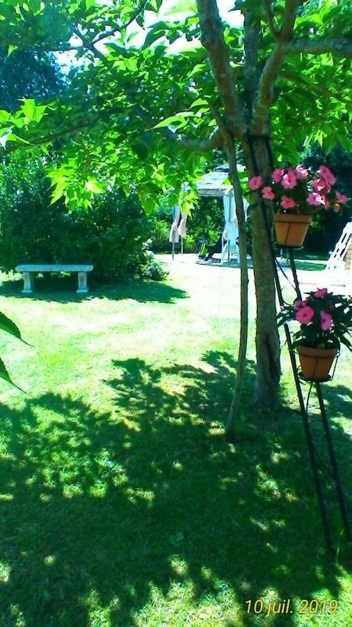 Le Clos Des Palombes Wifi Climatisation Saint-Pierre-du-Mont  Exterior photo
